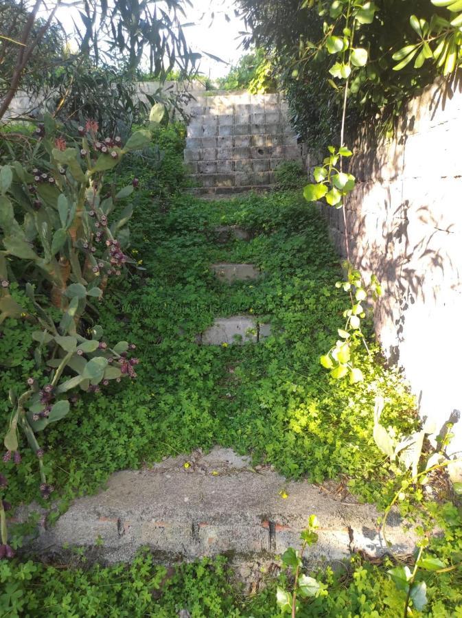 Appartamento Con Giardino Торре-дей-Корсарі Екстер'єр фото